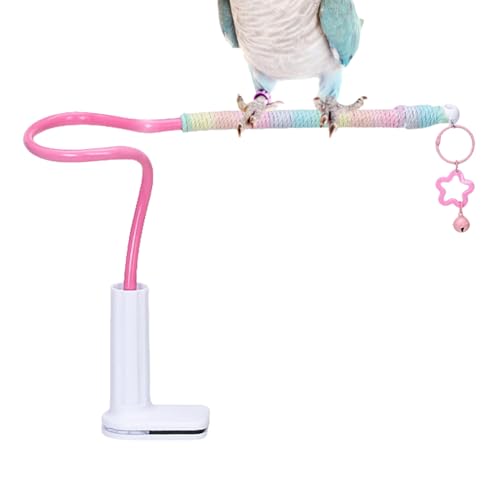 Besreey Vogelstände, Spielständer Für Vogelspielzeug, Buntes Rutschfestes Trainingsspielzeug Mit Glocke Für Kleine Vögel Wie Unzertrennliche Und Sittiche Besreey Vogelstände, Spielständer Für Vogelspielzeug, Buntes Rutschfestes Trainingsspielzeug Mit Glocke Für Kleine Vögel Wie Unzertrennliche Und Sittiche von Besreey