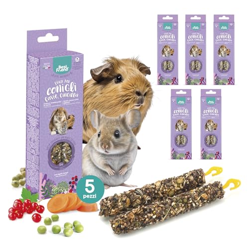 Best Friend - Gebackene natürliche Snacks für Kaninchen, Meerschweinchen und Chinchillas. Leckere und vitaminreiche Sticks mit Birkenholz für gesunde Zähne | Johannisbeere und Gras, 5er Pack x 115 g von Best Friend