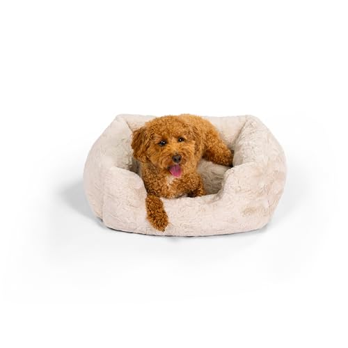 Best Friends by Sheri Soothe & Snooze Lounge Lux Hundebett aus Memory-Schaum, rechteckig, waschbar, 50,8 x 38,1 cm, Auster von Best Friends by Sheri