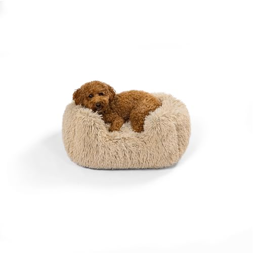 Best Friends by Sheri Soothe & Snooze Lounge Shag Rechteckiges Hundebett, waschbar, Taupe, 50,8 x 38,1 cm von Best Friends by Sheri