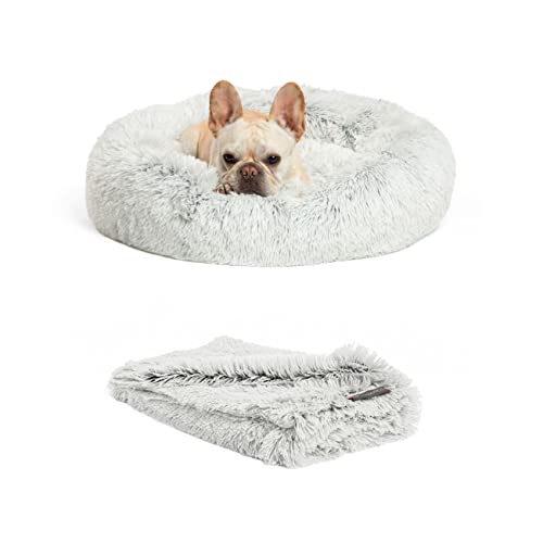 Sheri Bundle Savings BND-DBT-SHG-FRS-23SM Hundebett in Größe S 58,4 x 58,4 cm und Haustier-Überwurfdecke 76,2 x 101,6 cm, Frost von Best Friends by Sheri