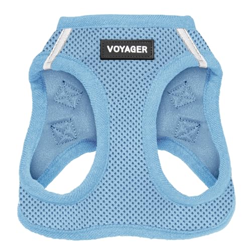 Voyager Step-In Air-Hundegeschirr – Allwetter-Mesh-Weste für kleine und mittelgroße Hunde von Best Pet Supplies – Geschirr (Babyblau), XXS, 207-BBW-XXS von Best Pet Supplies