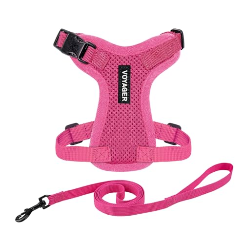 Voyager Step-In Lock verstellbares Katzengeschirr mit Katzenleine, Kombi-Set mit Neoprengriff, 1,5 m – unterstützt kleine, mittelgroße und große Rassen, Fuchsia, XXS von Best Pet Supplies