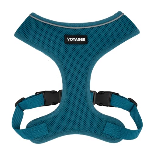 Voyager Aerolite No Pull Mesh Hundegeschirr mit Leichten, weichen, atmungsaktiven, reflektierenden Nähten und verstellbaren Gurten zum Gehen, Laufen, Training, strapazierfähig und langlebig - Türkis, von Best Pet Supplies