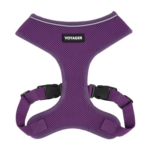 Voyager Aerolite No Pull Mesh Hundegeschirr mit Leichten, weichen, atmungsaktiven, reflektierenden Nähten und verstellbaren Gurten zum Gehen, Laufen, Training, strapazierfähig und langlebig - Lila, M von Best Pet Supplies