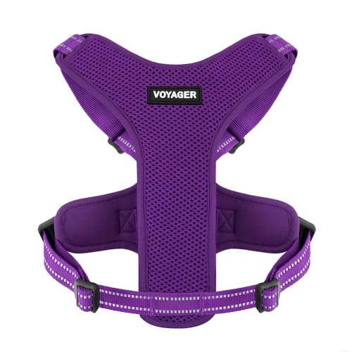 Best Pet Supplies Air Frontier Hundegeschirr aus Netzstoff mit D-Ring aus Stahl, reflektierende Nähte, verstellbare Hals-Brustgurte, Violett (Netz), S (Brustumfang: 40,6-50,8 cm) (218-PPW-S) von Best Pet Supplies