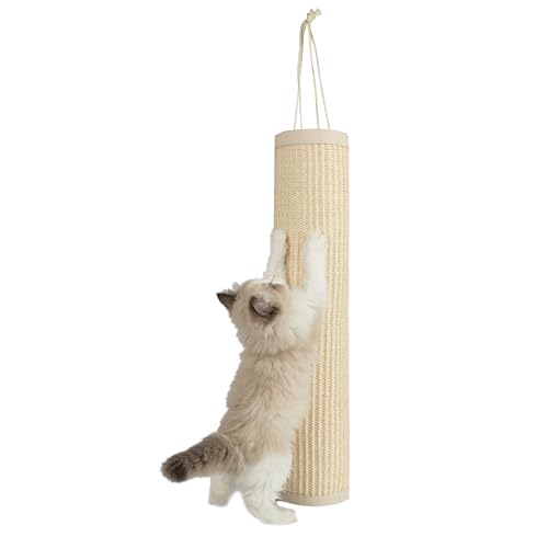 Best Pet Supplies Catify Kratzbaum zum Aufhängen, für Indoor-Katzen, lustiges und interaktives Spielen im Innenbereich, unterstützt natürliches Verhalten von Haustieren, strapazierfähig, cremefarben von Best Pet Supplies