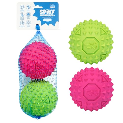 Best Pet Supplies Quietschender Gummiball mit Noppen, langlebig, ungiftig, perfekt für Aggressive Kauer, mit Stacheln für Zahngesundheit, interaktives Hundespielzeug, 2 Stück Fuchsia/Grün (Größe L: von Best Pet Supplies