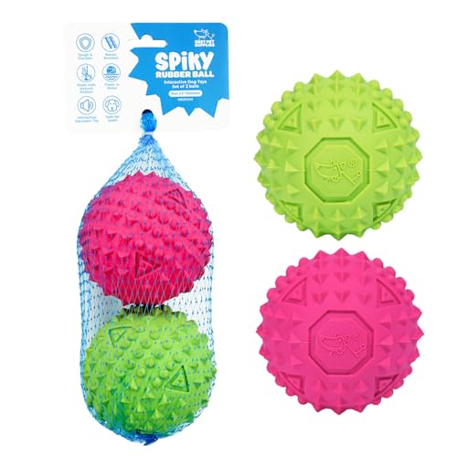 Best Pet Supplies Quietschender Gummiball mit Noppen, langlebig, ungiftig, perfekt für Aggressive Kauer, mit Stacheln für Zahngesundheit, interaktives Hundespielzeug, 2 Stück Fuchsia/Grün (Größe M: von Best Pet Supplies