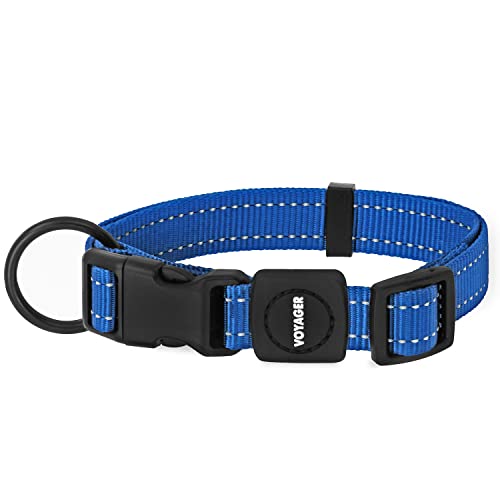 Best Pet Supplies Reflektierendes Hundehalsband mit Verstellbarer Länge, robuste Schnalle und starkem D-Ring für Leine, Training, Walking, Joggen für kleine, mittelgroße und große Rassen, Königsblau, von Best Pet Supplies