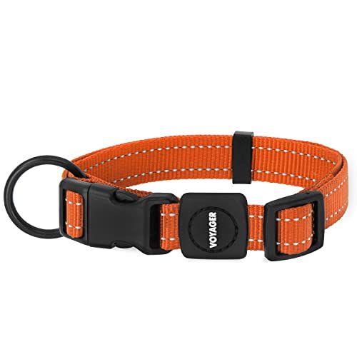 Best Pet Supplies Reflektierendes Hundehalsband mit Verstellbarer Länge, robuste Schnalle und starkem D-Ring für Leine, Training, Walking, Joggen für kleine, mittelgroße und große Rassen, Orange, M von Best Pet Supplies