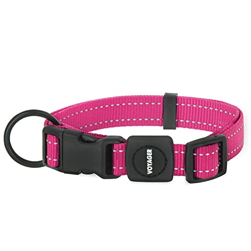 Best Pet Supplies Reflektierendes Hundehalsband mit Verstellbarer Länge, robuste Schnalle und starkem D-Ring für Leine, Training, Walking, Joggen für kleine, mittelgroße und große Rassen, Fuchsia, S von Best Pet Supplies