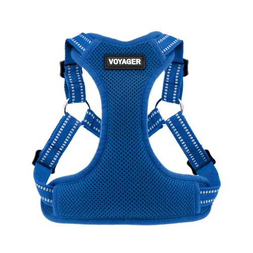 Voyager Verstellbares Hundegeschirr mit Reflektorstreifen by Best Pet Supplies - Strapazierfähige Ganzkörperweste ohne Zugkraft mit Leinen-D-Ring, atmungsaktiv, Königsblau, size XS von Best Pet Supplies