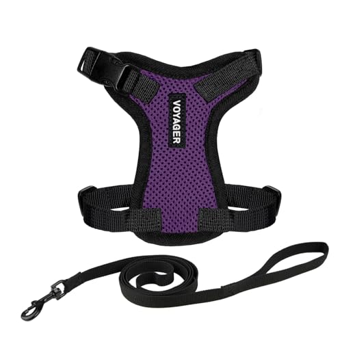 Voyager Step-in Lock Katzengeschirr und reflektierende Katzenleine mit Neoprengriff by Best Pet Supplies - Unterstützt kleine, mittelgroße und große Katzenrassen, Violett / Schwarz, size XS - 1,5 m von Best Pet Supplies