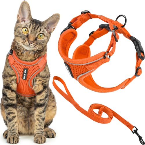 Best Pet Supplies Voyager-Set, ausbruchsicheres Katzengeschirr mit 1,5 m Langer Leine, reflektierende Nähte, Neoprengriff, für kleine, mittelgroße und große Katzen, Orange, Größe M (Brustumfang: 41,9 Best Pet Supplies Voyager-Set, ausbruchsicheres Katzengeschirr mit 1,5 m Langer Leine, reflektierende Nähte, Neoprengriff, für kleine, mittelgroße und große Katzen, Orange, Größe M (Brustumfang: 41,9 von Best Pet Supplies