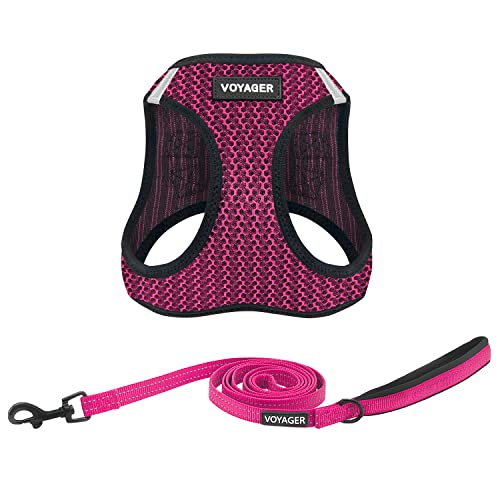 Best Pet Supplies Voyager Step-In Air Allwetter-Netzgeschirr und reflektierende Hunde-Leine, 1,5 m, Kombination mit Neoprengriff, für kleine, mittelgroße und große Hunderassen, Fuchsia (zweifarbig), L von Best Pet Supplies