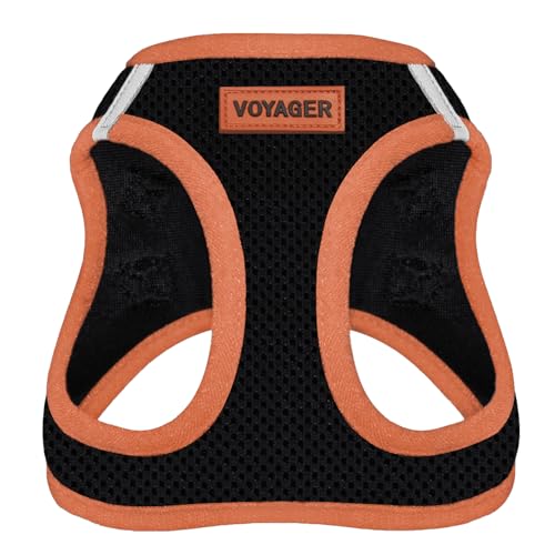 Best Pet Supplies Voyager Step-In Air Hundegeschirr – Allwetter-Mesh-Geschirr für kleine und mittelgroße Hunde – orangefarbener Rand, Größe XS von Best Pet Supplies