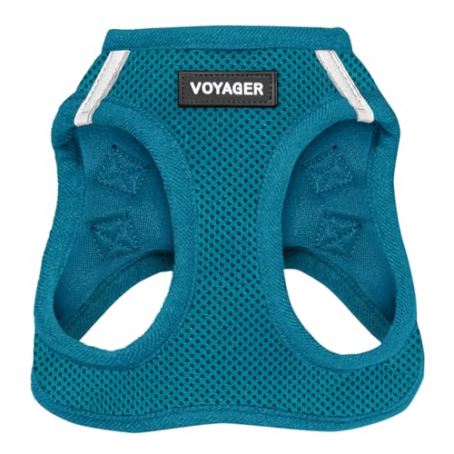 Voyager Step-In Air Hundegeschirr by Best Pet Supplies - All Weather Mesh Step in Vest Harness für kleine und mittlere Hunde, Türkis, size S - Brust 37-40 cm von Best Pet Supplies