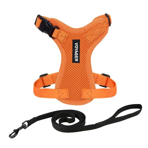 Best Pet Supplies Voyager Step-In Lock Haustiergeschirr – Allwetter-Netz, verstellbares Step-in-Geschirr für Katzen und Hunde – Orange, XXXS von Best Pet Supplies