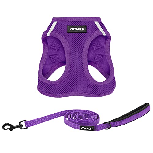 Best Pet Supplies Voyager Step-in Air, Allwetter-Mesh-Geschirr und reflektierender Hund, 1,52 m, Kombination mit Neopren-Griff, für kleine, mittelgroße und große Welpen, Violett, Größe M von Best Pet Supplies