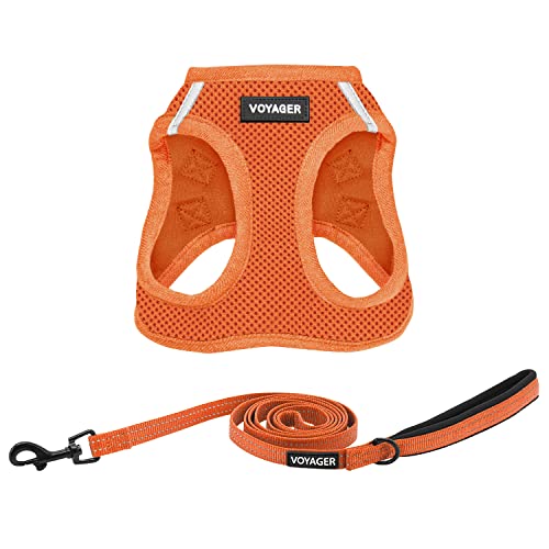 Best Pet Supplies Voyager Step-in Air, Allwetter-Mesh-Geschirr und reflektierendes Hundegeschirr, 1,52 m, Kombination mit Neopren-Griff, für kleine, mittelgroße und große Rassen, Welpen, Orange, Größe von Best Pet Supplies