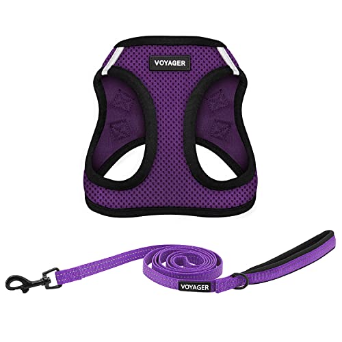 Voyager Step-in-Air Allwetter-Netzgeschirr und reflektierende Hunde-Leine, Kombination mit Neoprengriff, für kleine, mittelgroße und große Welpen, von Best Pet Supplies – Violett/schwarzer Rand, XXS von Best Pet Supplies