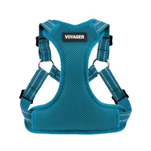 Voyager Verstellbares Hundegeschirr mit Reflektorstreifen by Best Pet Supplies - Strapazierfähige Ganzkörperweste ohne Zugkraft mit Leinen-D-Ring, atmungsaktiv, Türkis, size M von Best Pet Supplies