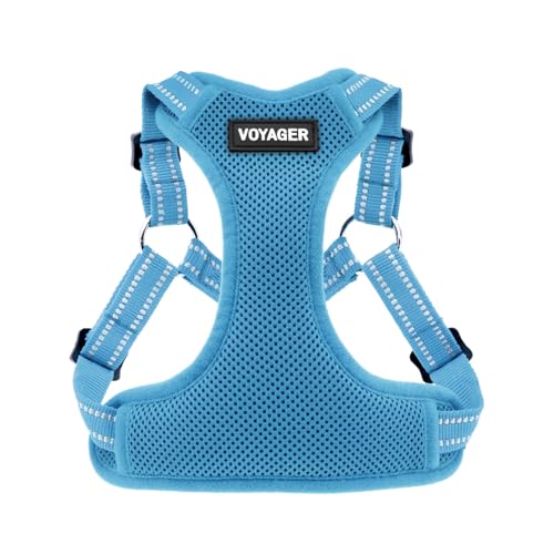 Voyager Verstellbares Hundegeschirr mit Reflektorstreifen by Best Pet Supplies - Strapazierfähige Ganzkörperweste ohne Zugkraft mit Leinen-D-Ring, atmungsaktiv, Babyblau, size XL von Best Pet Supplies