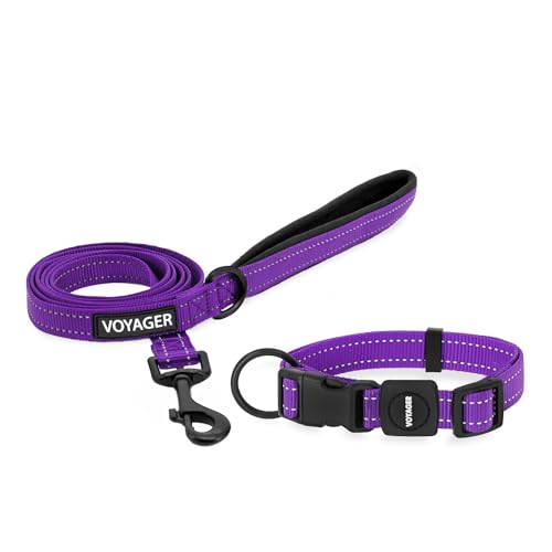 Best Pet Supplies Voyager Verstellbares Hundehalsband und Hundeleine aus Nylon, weich gepolsterter Griff und Hals mit reflektierenden Nähten, für Welpen, kleine, mittelgroße und große Hunde, Violett, von Best Pet Supplies