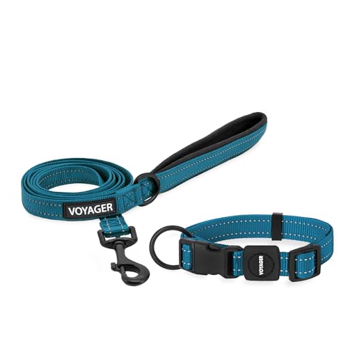 Best Pet Supplies Voyager Verstellbares Hundehalsband und Hundeleine aus Nylon, weich gepolsterter Griff und Hals mit reflektierenden Nähten, für Welpen, kleine, mittelgroße und große Hunde, Türkis, von Best Pet Supplies