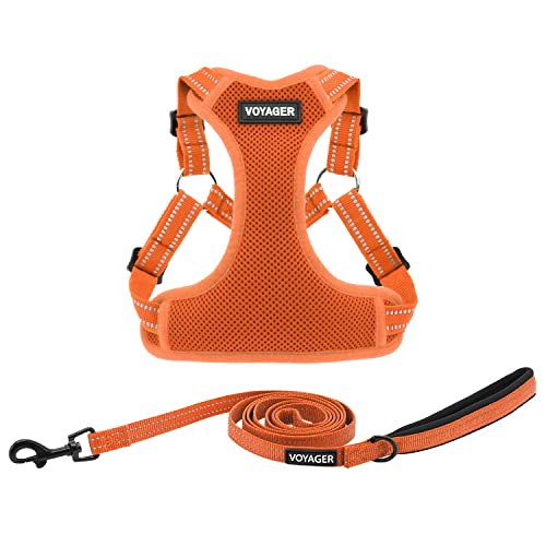 Best Pet Supplies Voyager verstellbares Hundegeschirr mit reflektierenden Streifen für Spaziergänge, robuste Ganzkörper, Keine Zieh-Weste mit Leine, D-Ring, atmungsaktiv, Allwetter-Geschirr (Orange), von Best Pet Supplies