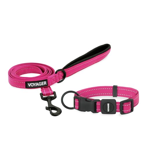 Best Pet Supplies Voyager verstellbares Hundehalsband und Hundeleine aus Nylon, weich gepolsterter Griff und Hals mit reflektierenden Nähten, für Welpen, kleine, mittelgroße und große Hunde (Fuchsia, von Best Pet Supplies