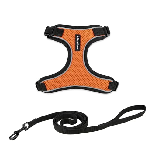 Voyager Katzengeschirr und Leine, Set mit reflektierenden Nähten, Neoprengriff, 1,5 m – unterstützt kleine, mittelgroße und große Katzen, Kätzchen zum Spazierengehen von Best Pet Supplies - BT-Orange, von Best Pet Supplies