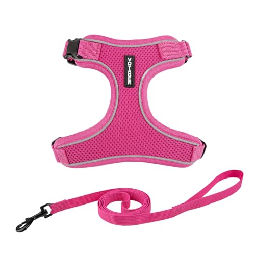 Voyager Katzengeschirr und Leine, Set mit reflektierenden Nähten, Neoprengriff, 1,5 m – unterstützt kleine, mittelgroße und große Katzen, Kätzchen zum Spazierengehen von Best Pet Supplies – Fuchsia, von Best Pet Supplies