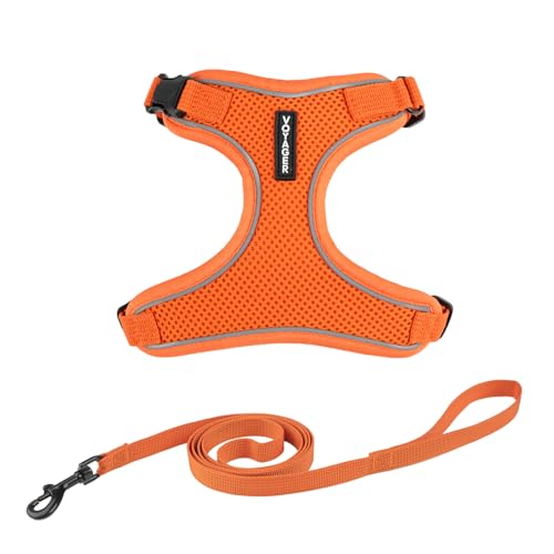 Voyager Katzengeschirr und Leine, Set mit reflektierenden Nähten, Neoprengriff, 1,5 m – unterstützt kleine, mittelgroße und große Katzen, Kätzchen zum Spazierengehen von Best Pet Supplies - Orange, von Best Pet Supplies