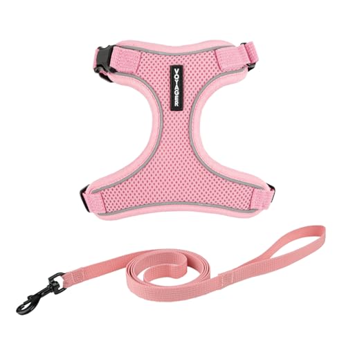 Voyager Katzengeschirr und Leine, Set mit reflektierenden Nähten, Neoprengriff, 1,5 m – unterstützt kleine, mittelgroße und große Katzen, Kätzchen zum Spazierengehen von Best Pet Supplies - Rosa, XXXS von Best Pet Supplies