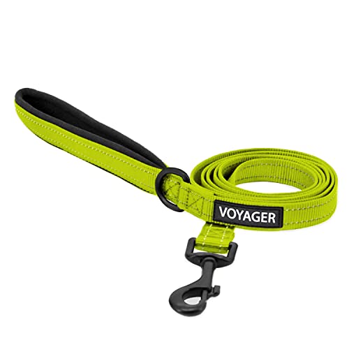 Best Pet Supplies Voyager Reflektierende Hundeleine mit Neopren-Griff, 1,5 m lang, unterstützt kleine, mittelgroße und große Welpen, niedlich und strapazierfähig für Spaziergänge, Laufen und Training, Limettengrün, S von Best Pet Supplies