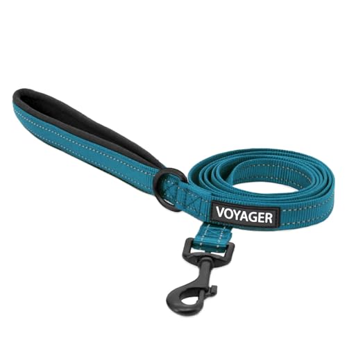 Best Pet Supplies Voyager Reflektierende Hundeleine mit Neopren-Griff, 1,5 m lang, unterstützt kleine, mittelgroße und große Welpen, niedlich und strapazierfähig für Gehen, Laufen und Training, Türkis, S von Best Pet Supplies