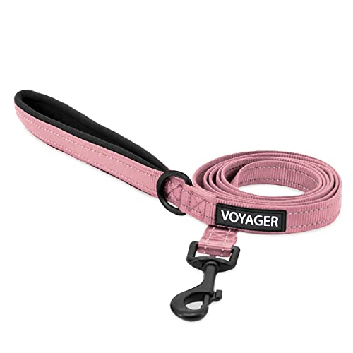 Voyager Reflektierende Hundeleine mit Neoprengriff, 1,5 m lang, unterstützt kleine, mittelgroße und große Rassen, niedlich und robust zum Gehen, Laufen und Training, Rosa (Line), L von Best Pet Supplies