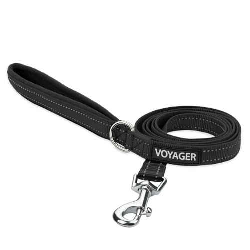 Voyager Reflektierende Hundeleine mit Neoprengriff, 1,5 m lang, unterstützt kleine, mittelgroße und große Rassen, niedlich und robust zum Gehen, Laufen und Training, Schwarz (Line), S von Best Pet Supplies