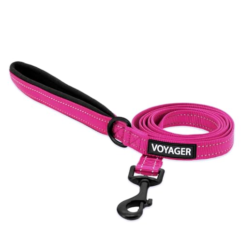 Voyager Reflektierende Hundeleine mit Neoprengriff, 1,8 m lang, unterstützt kleine, mittelgroße und große Rassen, niedlich und strapazierfähig zum Gehen, Laufen und Training, Fuchsia, L von Best Pet Supplies