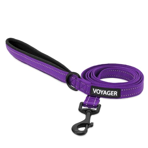 Voyager Reflektierende Hundeleine mit Neoprengriff, 1,8 m lang, unterstützt kleine, mittelgroße und große Rassen, niedlich und strapazierfähig zum Gehen, Laufen und Training, Lila, L von Best Pet Supplies