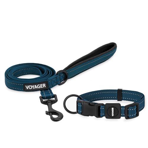 Voyager Reflektierendes Hundehalsband-Set mit Neopren-Griff, unterstützt kleine, mittelgroße und große Rassenwelpen, niedlich und robust zum Spazierengehen, Laufen und Training, Blau, M von Best Pet Supplies