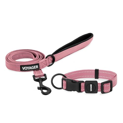 Voyager Reflektierendes Hundehalsband-Set mit Neopren-Griff, unterstützt kleine, mittelgroße und große Rassenwelpen, niedlich und robust zum Spazierengehen, Laufen und Training, Rosa, M von Best Pet Supplies