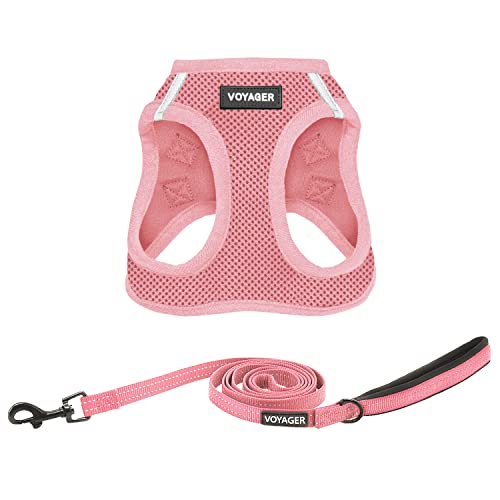 Voyager Step-In Air Allwetter-Netzgeschirr und reflektierende Hunde-Leine, Kombination mit Neoprengriff, für kleine, mittelgroße und große Welpen, von Best Pet Supplies – Geschirr-Leinen-Set (Rosa), von Best Pet Supplies