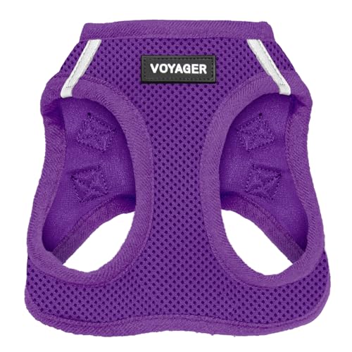 Voyager Step-In Air Hundegeschirr – Allwetter-Netzgewebe, für kleine und mittelgroße Hunde von Best Pet Supplies – Violett (passende Bordüre), S (Brustumfang: 36,8–43,2 cm) (207T-PPW-S) von Best Pet Supplies