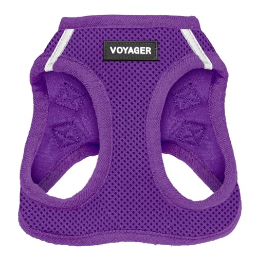 Voyager Step-In Air Hundegeschirr – Allwetter-Netzgewebe, für kleine und mittelgroße Hunde von Best Pet Supplies – Violett (passende Bordüre), XXS (Brustumfang: 26,7–33 cm für Katzen) (207T-PPW-XXS) von Best Pet Supplies