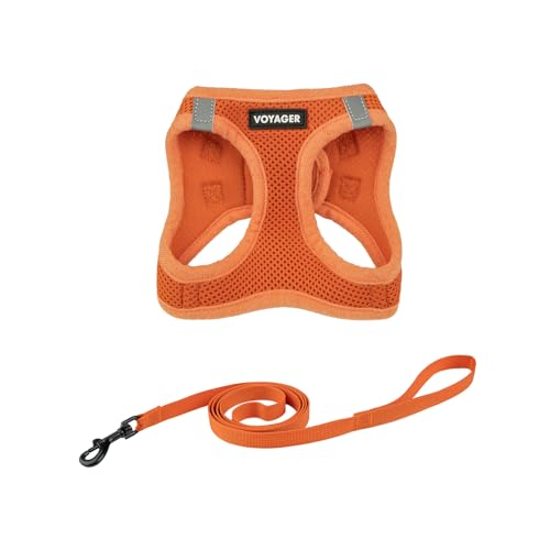 Voyager Step-in-Air-Geschirr für Katzen, Allwetter-Netzgewebe, Step-in-Weste, Geschirr für kleine und große Katzen, von Best Pet Supplies – Orange, XXXS (Brustumfang 27,9–30,5 cm) von Best Pet Supplies