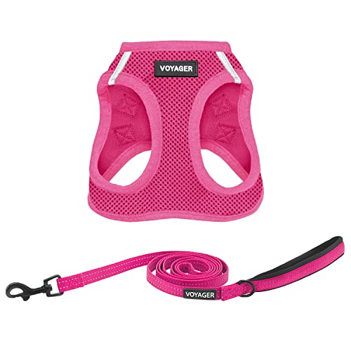 Voyager Step-in-Air-Katzengeschirr, Allwetter-Netzgewebe für kleine und mittelgroße Katzen, von Best Pet Supplies – Set (Fuchsia), XXXS von Best Pet Supplies