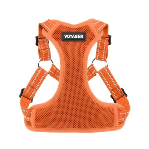 Voyager by Best Pet Supplies – voll verstellbares Netzgeschirr mit reflektierenden 3M-Paspeln – Orange (passender Rand), Größe M von Best Pet Supplies